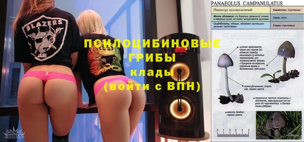 apvp Алексин