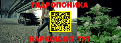 таблы Лесосибирск