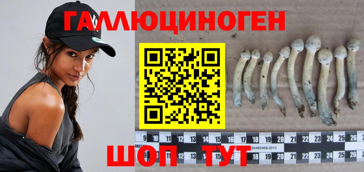 купить  цена  Галлюциногенные грибы Magic Shrooms  Вход с VPN  Протвино 