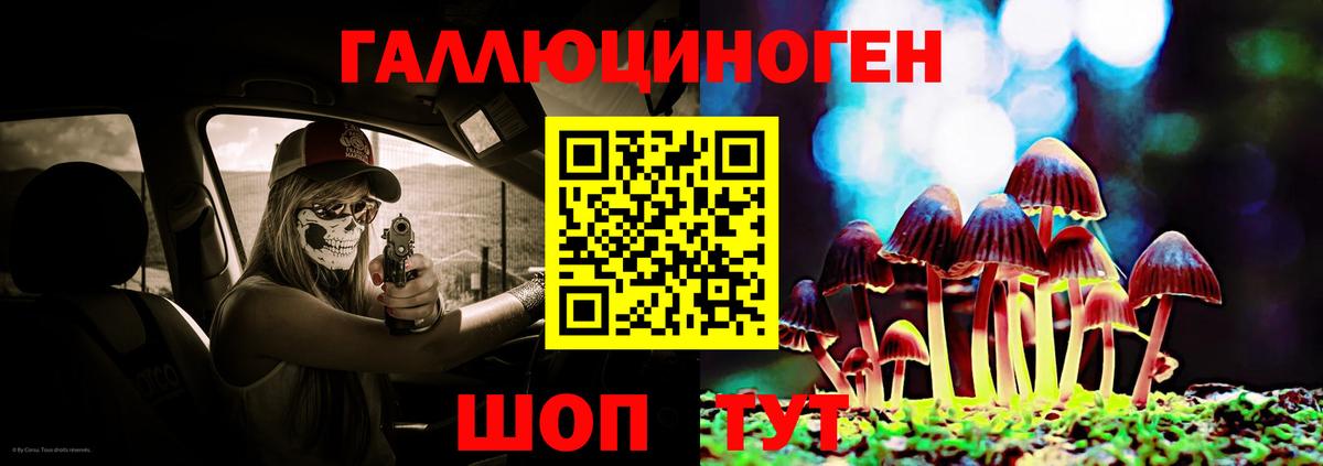 Галлюциногенные грибы Psilocybe Протвино