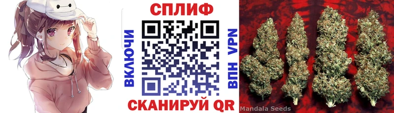 Каннабис Bruce Banner Протвино