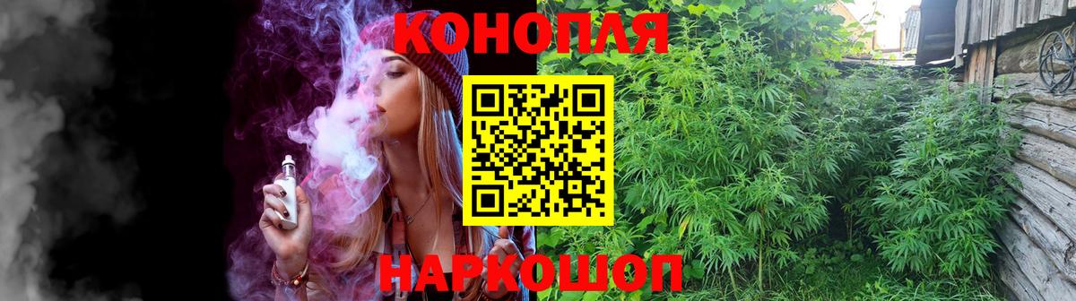 Шишки марихуана сатива  Вход с VPN  Шишки марихуана AK-47  Протвино  Шишки марихуана гибрид 